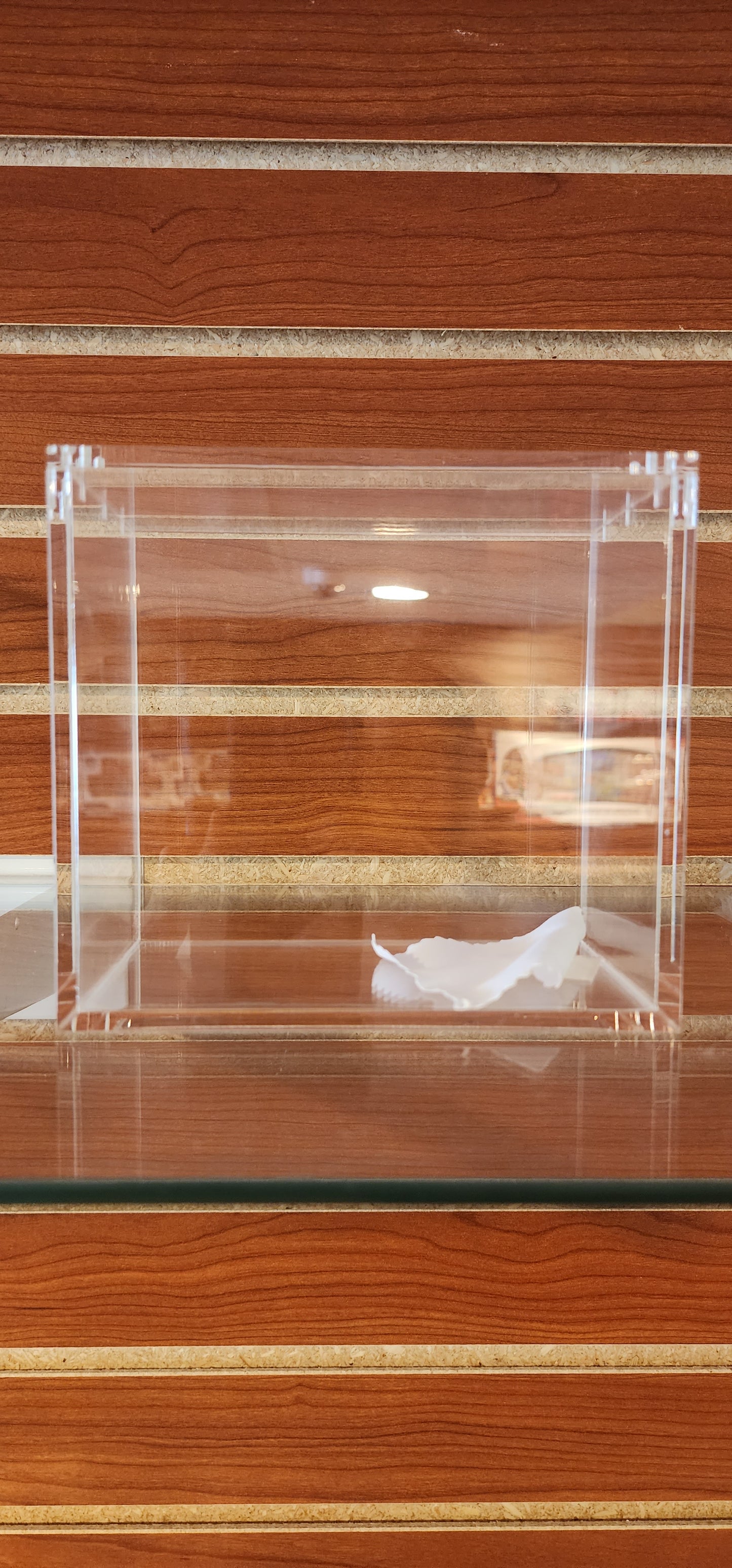 TCG Supplies: Acrylic Booster Box